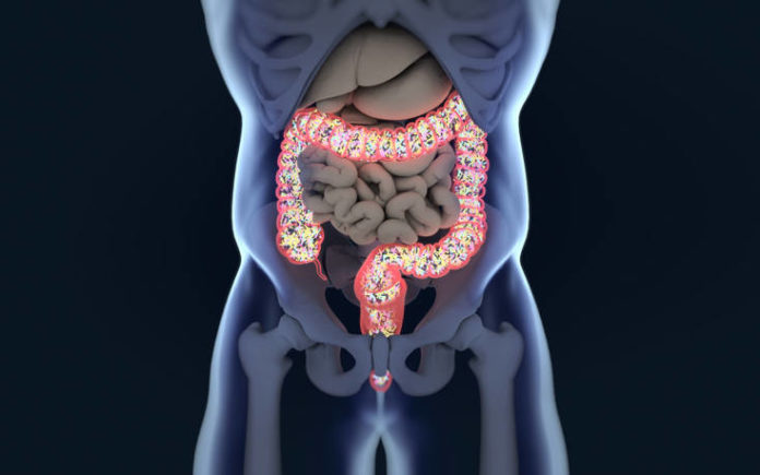 Η χρήση αντιβιοτικών αυξάνει τον κίνδυνο εμφάνισης καρκίνου του εντέρου