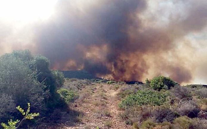 Πέντε συλλήψεις για πρόκληση εμπρησμών