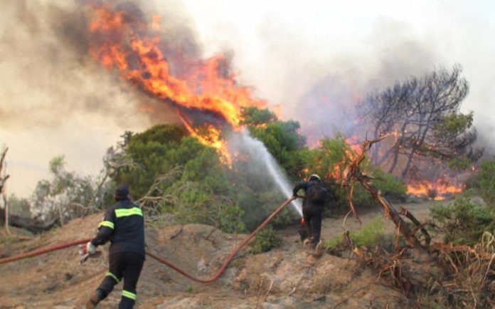 Φωτιά στη Σαλαμίνα σε υπαίθριο χώρο - Προληπτική εκκένωση σπιτιών