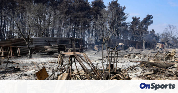 Φωτιά στην Εύβοια: Όλα δείχνουν εμπρησμό – Να ανοίξουν τηλέφωνα ζητούν οι Αρχές