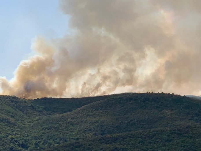 Μεγάλη φωτιά σε δασική έκταση στο Αγρίνιο (φωτογραφίες - βίντεο)