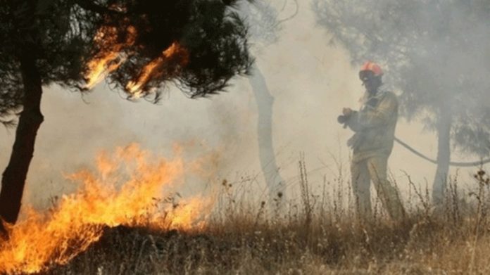 Αιτωλικό: Ηλικιωμένος απανθρακώθηκε στο κτήμα του