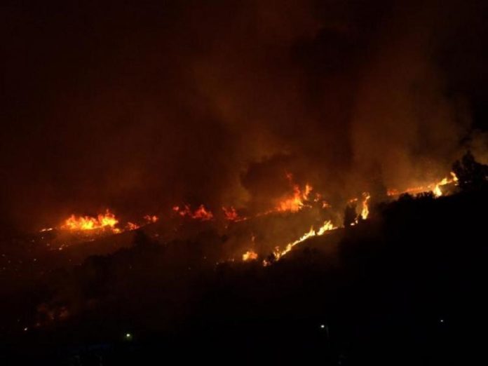 Ηλεία : Υπό έλεγχο η φωτιά στο Κακοτάρι στην Αρχαία Ολυμπία