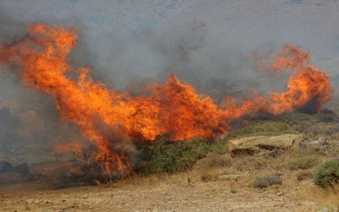 Υπό έλεγχο η φωτιά που ξέσπασε σε δάσος στα Αβδηρα Ξάνθης