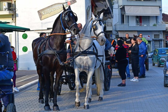 Άλογα, «όμορφα αμάξια» και καροτσέρηδες κατέκλυσαν το Αργος (φωτογραφίες)