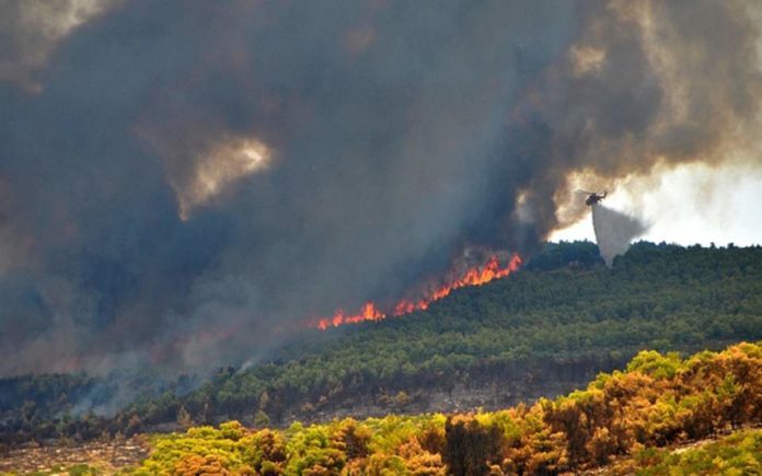 Οι λιγότερες πυρκαγιές της δεκαετίας το 2019