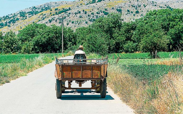 Παχύσαρκος ο αγροτικός πληθυσμός της χώρας