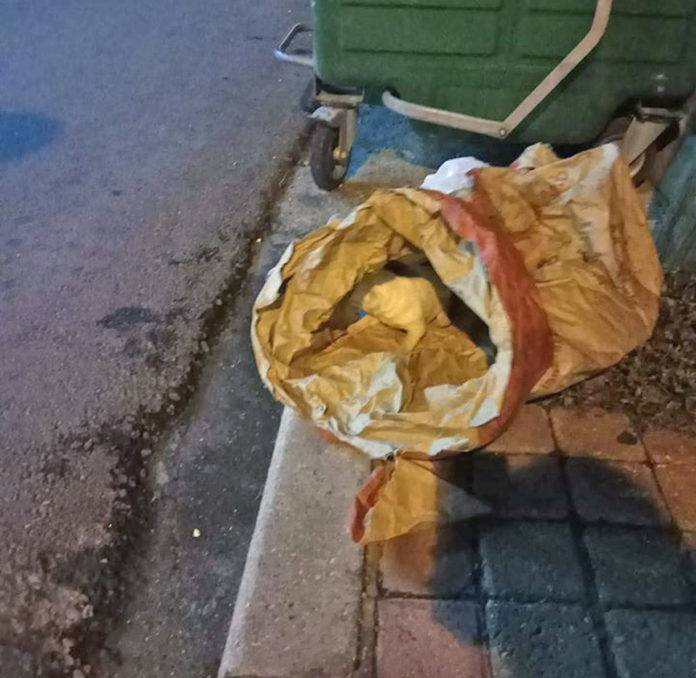 Πέταξαν νεογέννητα κουτάβια σε κάδους σκουπιδιών στην Καβάλα