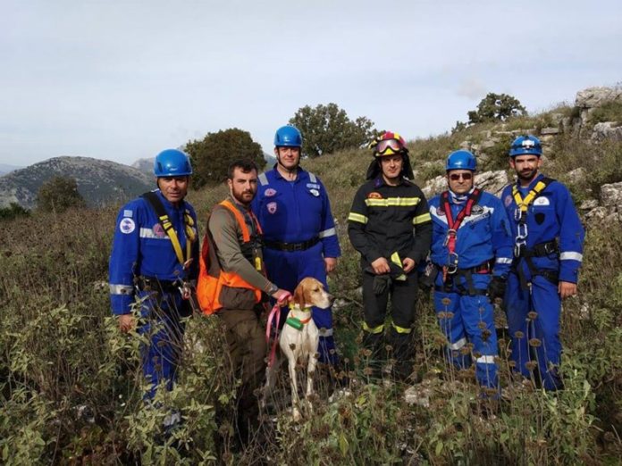 Πρέβεζα: Απεγκλώβισαν σκύλο που έπεσε σε βάραθρο βάθους 20 μέτρων