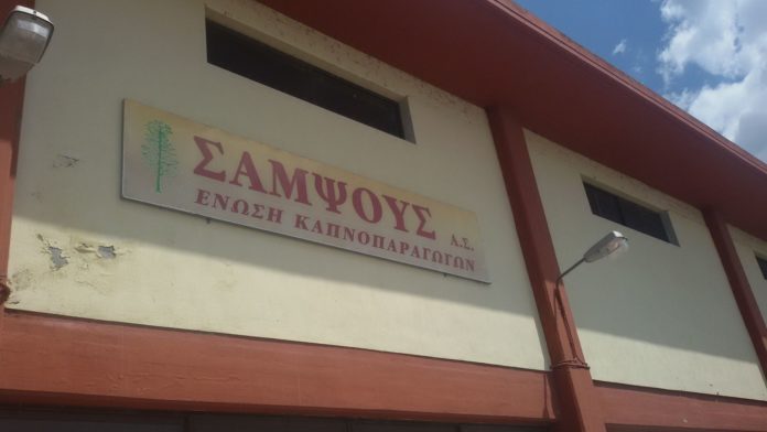 11129337_1427074280942373_6203722206383496306_o