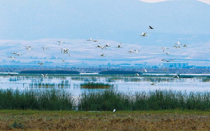 Ανατροπές στην περιβαλλοντική νομοθεσία