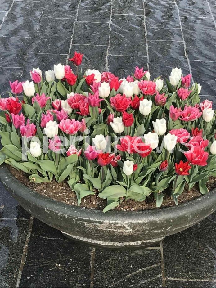 viber_image_2020-04-12_11-14-48