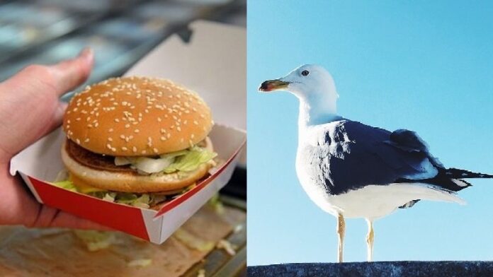 burger