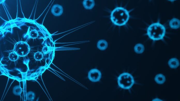 ee15776c985343b28d80550cb4ad5676