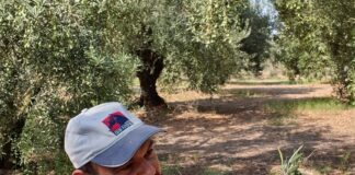 Φόβος για την κρίση; η απλά… μια κρίση πανικού