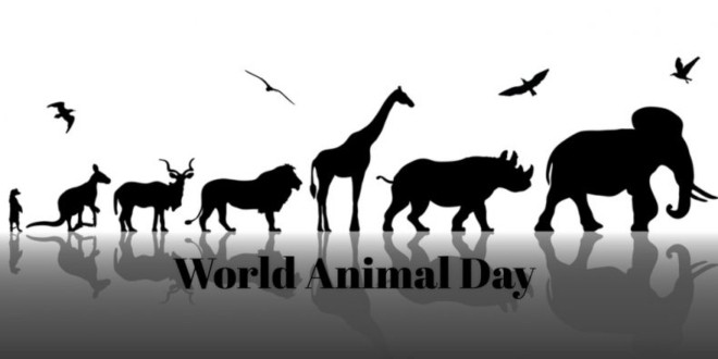 World-Animal-Day_ss_559680808-790x400