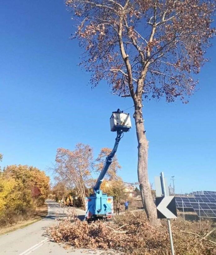 127026526_2817805705163882_8086477083840764482_n (002)