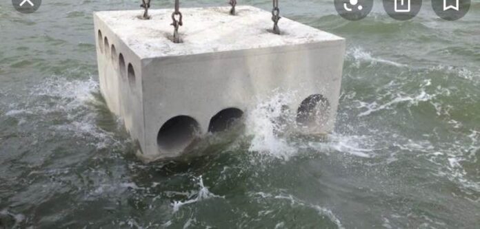 127878858_2820544104890042_7273056309820501567_n (002)