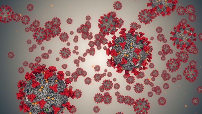 1fb17246b54b4b8ea9d617560d5a7e87