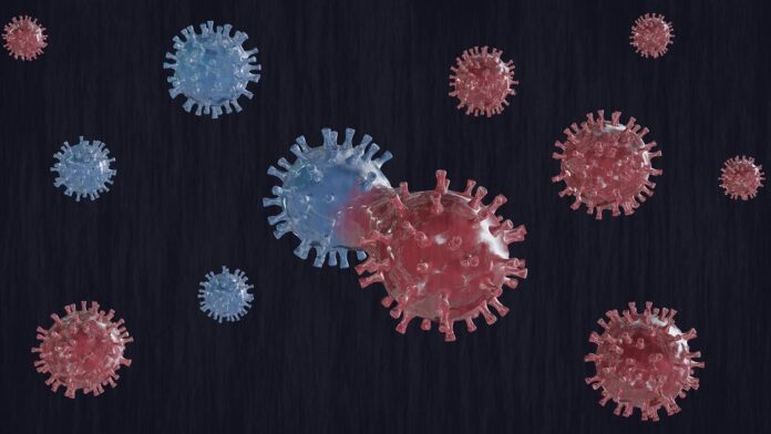 4a6412a811994b688abc65ca3045c3fc