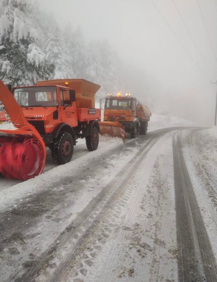 274680975_3158344184443364_874274114540250858_n (002)