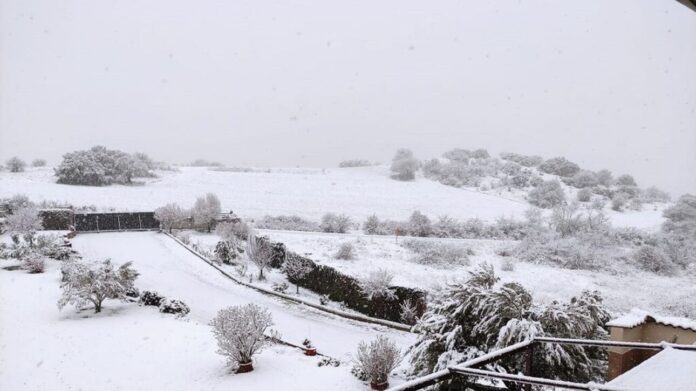 melissoxori2-1024x768