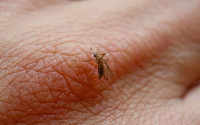 e7f6f42219a5434e94206ad4bcc6632d_XL