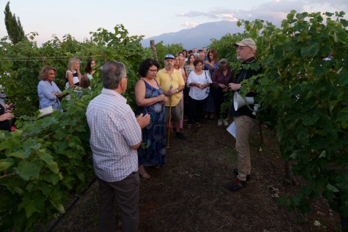 305848989_7892090127532735_1466046692956669069_n