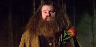 Θλίψη: Πέθανε ο ηθοποιός Ρόμπι Κολτρέιν – Είχε ενσαρκώσει τον Χάγκριντ στις ταινίες «Χάρι Πότερ»