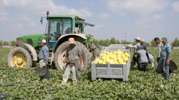 ispania-farmers-agrotes