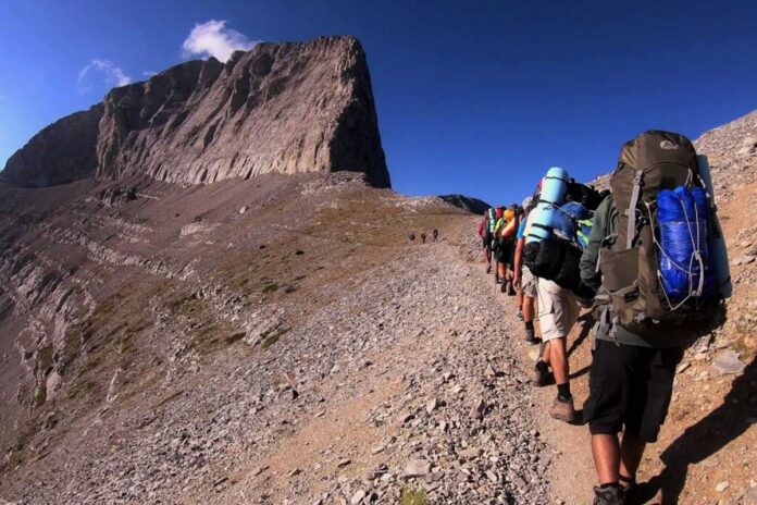 1.arxiki-pezoporia1web