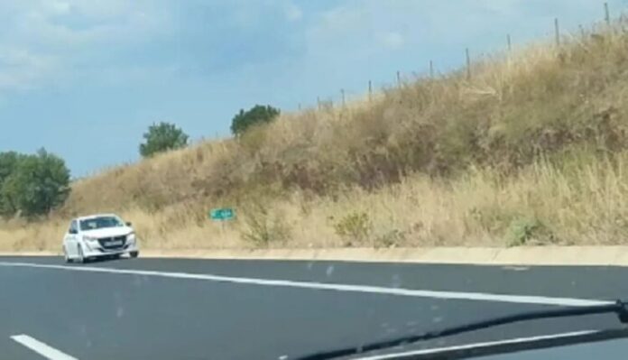 lathrodiakinites-750x430