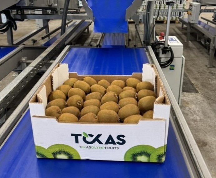 Screenshot-2024-08-12-124145