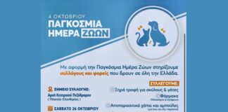 Η Γραμματεία Εθελοντισμού της ΝΔ Πιερίας συγκεντρώνει τροφές και φάρμακα για τα αδέσποτα ζώα