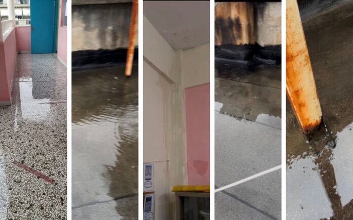 Untitled design (26)