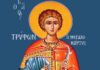 1 Φεβρουαρίου : του Αγίου Τρύφωνος, προστάτη των αμπελουργών