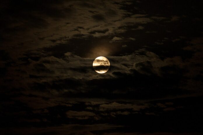 21_0012_20250809_tsk9614_sooc1754773343-1200x800