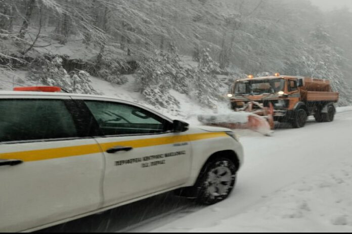 pereifereia-xionia-1