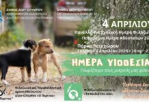 Δήμος Δίου-Ολύμπου: Πρόσκληση στην «Ημέρα υιοθεσίας αδέσποτων» το Σάββατο 4 Απριλίου στο Λιτόχωρο