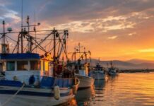 Υποβολή αιτήσεων χρηματοδότησης για «Επενδύσεις στα αλιευτικά σκάφη χωρίς να αυξάνεται η αλιευτική τους ικανότητα»