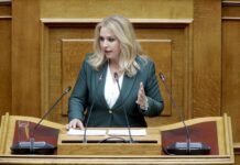 Άννα Μάνη – Παπαδημητρίου : Νομοθετική λύση για αγροτεμάχια με ενεργή αγροτική δραστηριότητα και εκκρεμείς κτηματολογικές εγγραφές