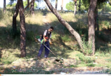 Καθαρισμός οικοπέδων: Εκπνέει αύριο Δευτέρα 22/06 η προθεσμία για τη δήλωση