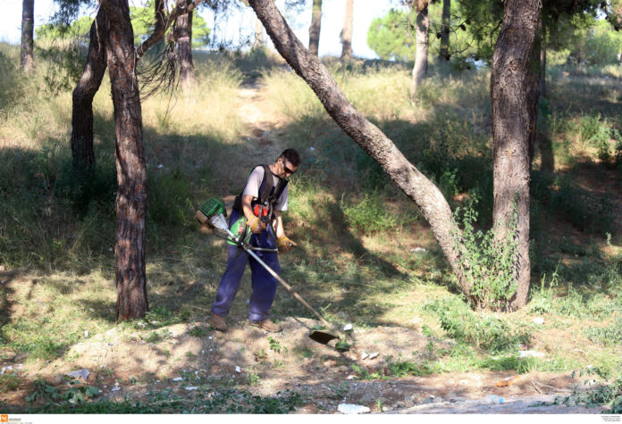 καθαρισμός οικοπέδων