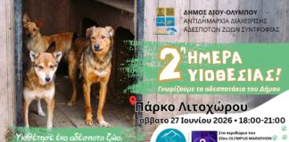 Πρόσκληση στη «2η Ημέρα Υιοθεσίας Αδέσποτων» το Σάββατο 27 Ιουνίου στο δημοτικό πάρκο Λιτοχώρου