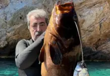 Αγκαλιά με… ροφό 14 κιλών ο Πολάκης στέλνει μήνυμα στον Τσίπρα: «Εμείς δεν ψαρεύουμε σε θολά νερά»