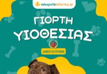 “ΥΙΟΘΕΤΩ! ΔΕΝ ΑΓΟΡΑΖΩ!” – 3η Γιορτή Υιοθεσίας Αδέσποτων Ζώων στον Δήμο Κατερίνης