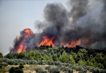 Πολιτική Προστασία: Πολύ υψηλός κίνδυνος πυρκαγιάς σήμερα σε 5 περιφέρειες – υψηλός ο κίνδυνος για Πιερία – Δείτε τον χάρτη