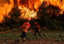 Καίγεται η Νότια Ευρώπη: Μάχη με τις φλόγες σε Γαλλία, Ισπανία, Πορτογαλία, δεκάδες χιλιάδες καμένα στρέματα