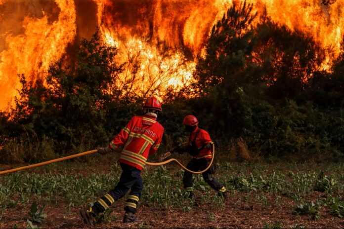 portogallia_wildfire