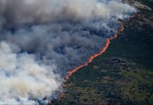 Ισπανία: Στο αποκορύφωμά της η τεράστια πυρκαγιά στη Μαδρίτη – «Δεν μπορεί να σβηστεί…»